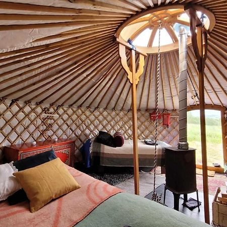 Iceland Yurt Akureyri Ngoại thất bức ảnh