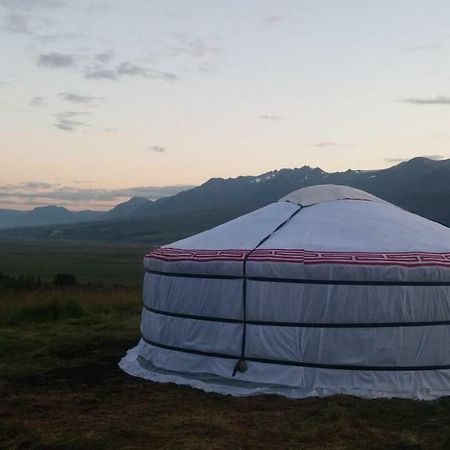 Iceland Yurt Akureyri Ngoại thất bức ảnh
