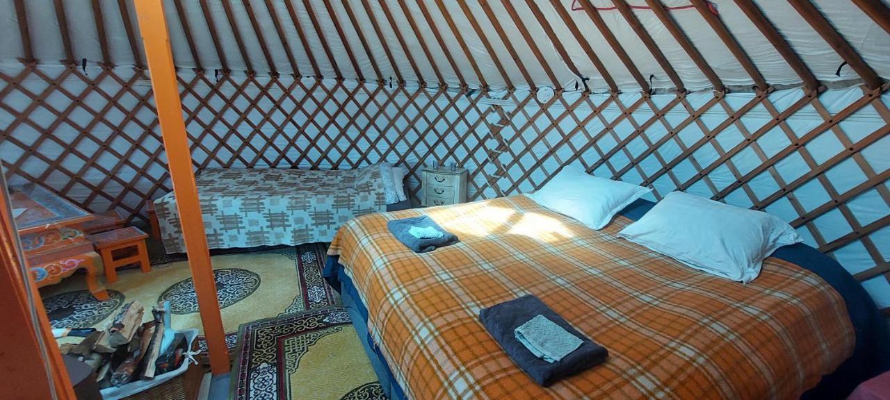 Iceland Yurt Akureyri Ngoại thất bức ảnh