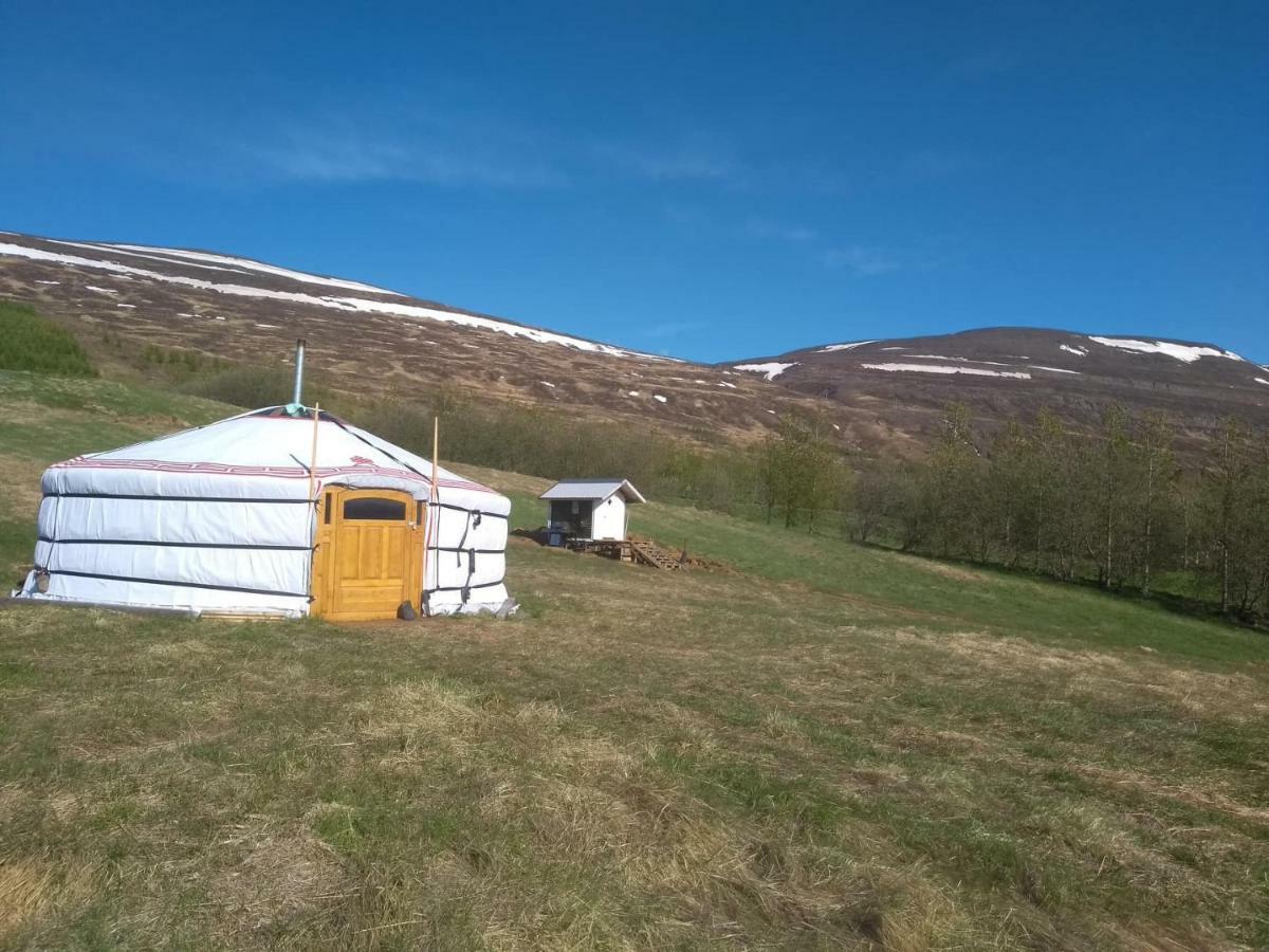 Iceland Yurt Akureyri Ngoại thất bức ảnh