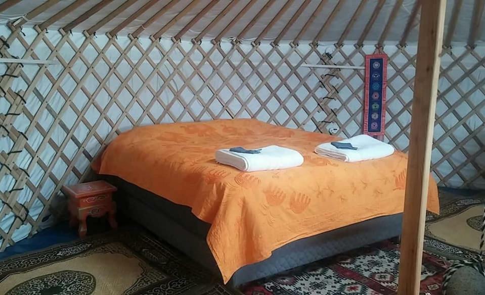 Iceland Yurt Akureyri Ngoại thất bức ảnh