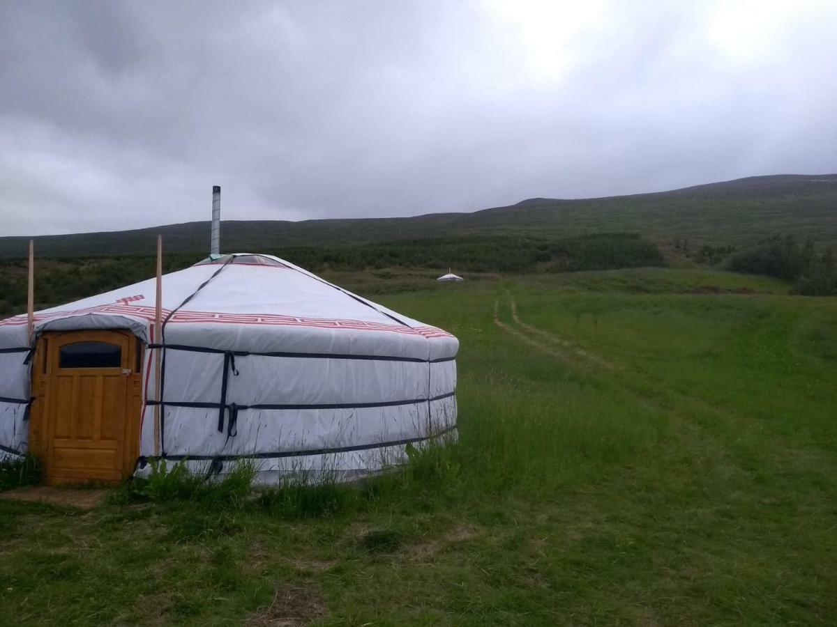Iceland Yurt Akureyri Ngoại thất bức ảnh