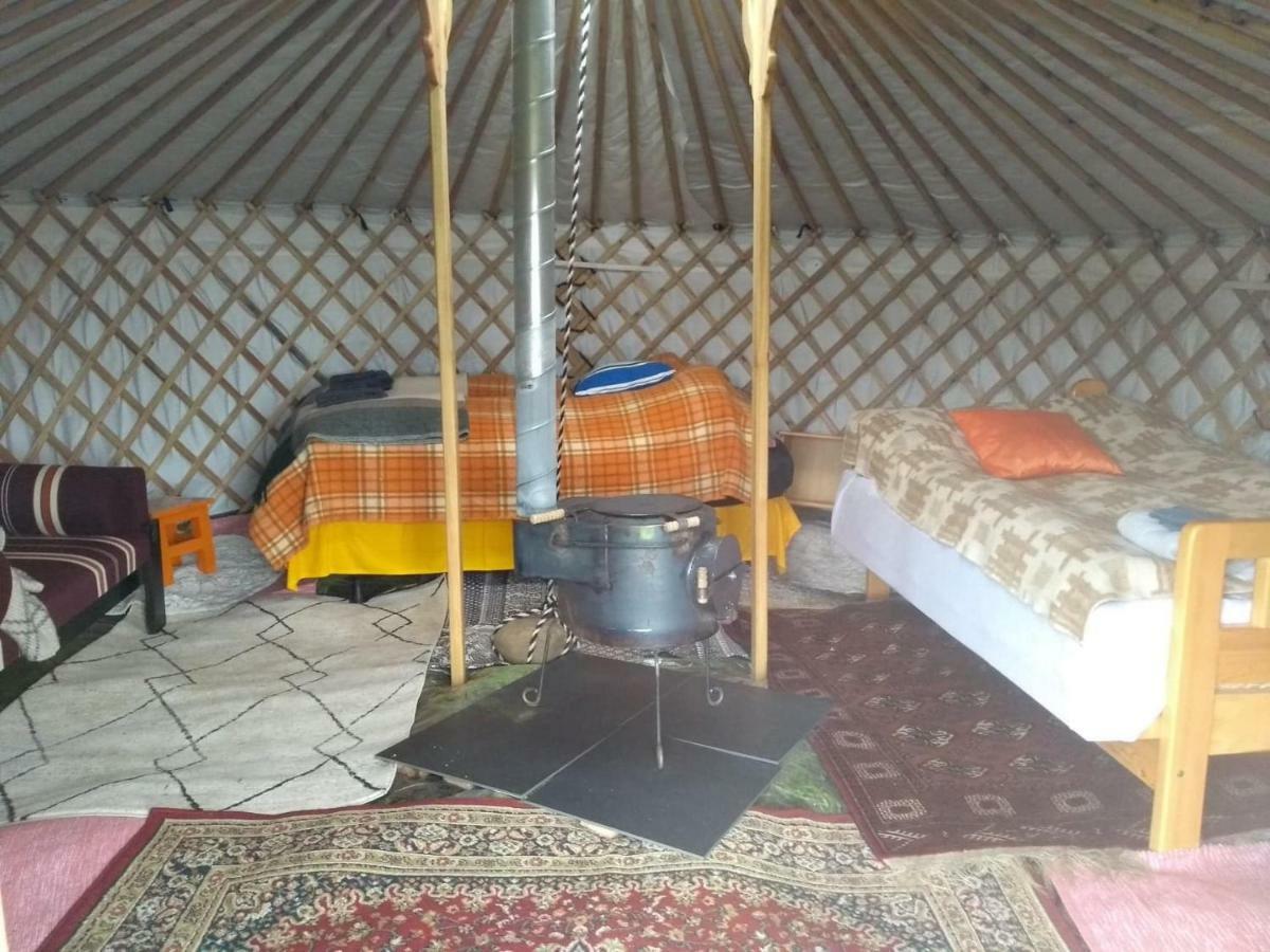 Iceland Yurt Akureyri Ngoại thất bức ảnh