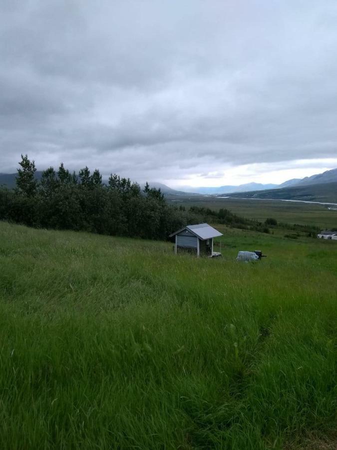 Iceland Yurt Akureyri Ngoại thất bức ảnh