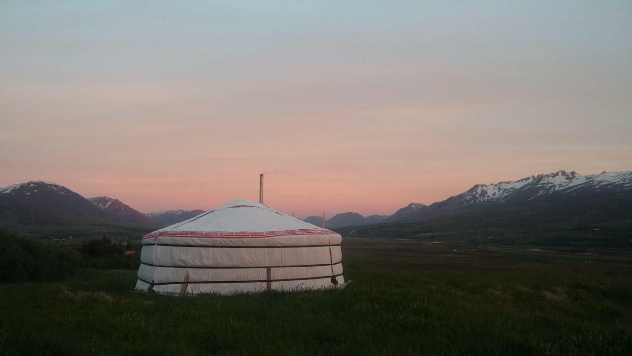 Iceland Yurt Akureyri Ngoại thất bức ảnh