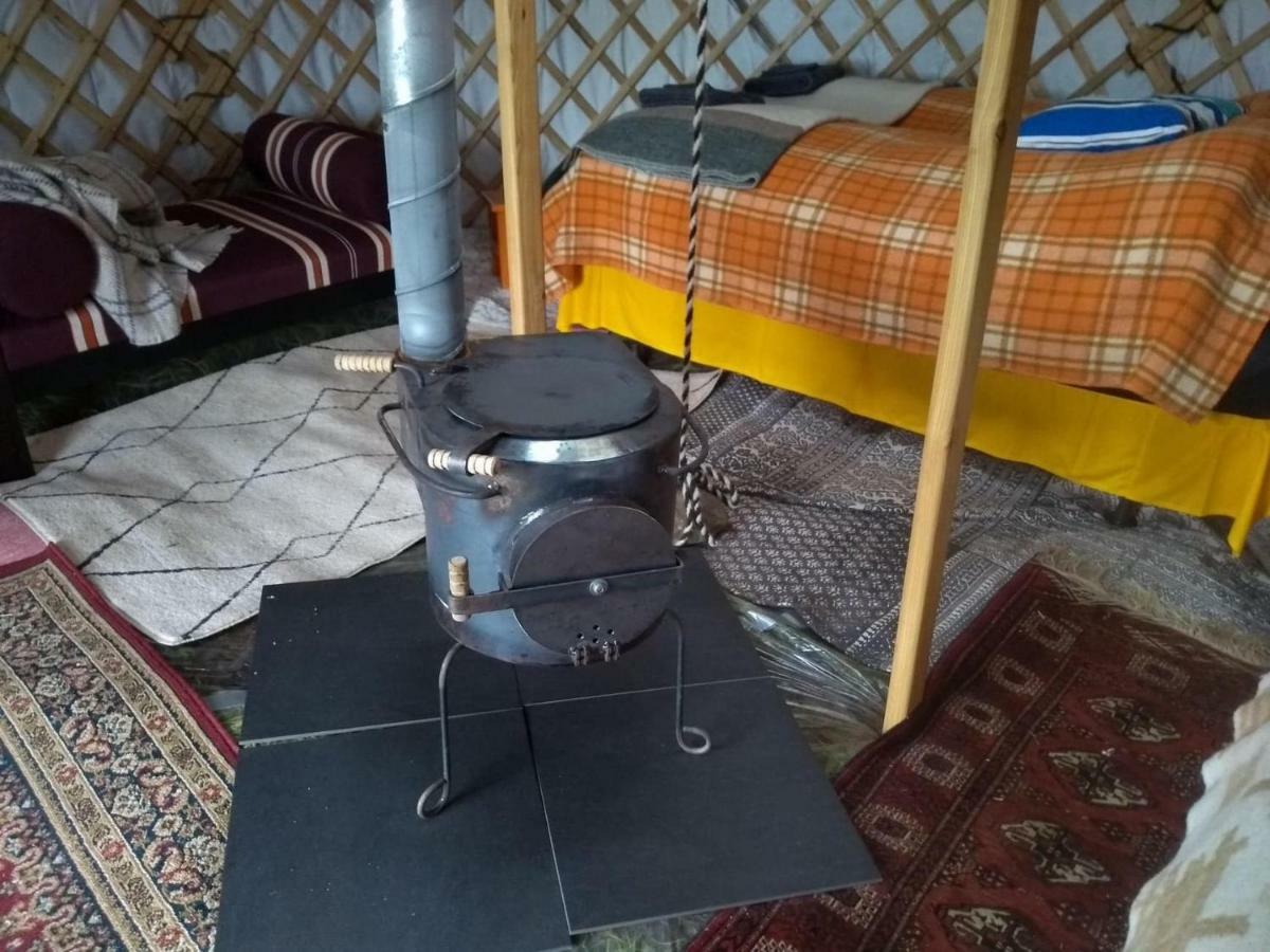 Iceland Yurt Akureyri Ngoại thất bức ảnh